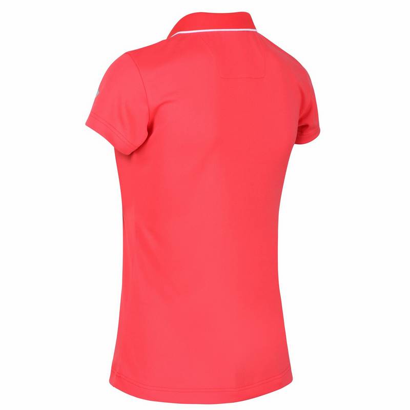 Regatta Maverik V Funktionsshirt Damen