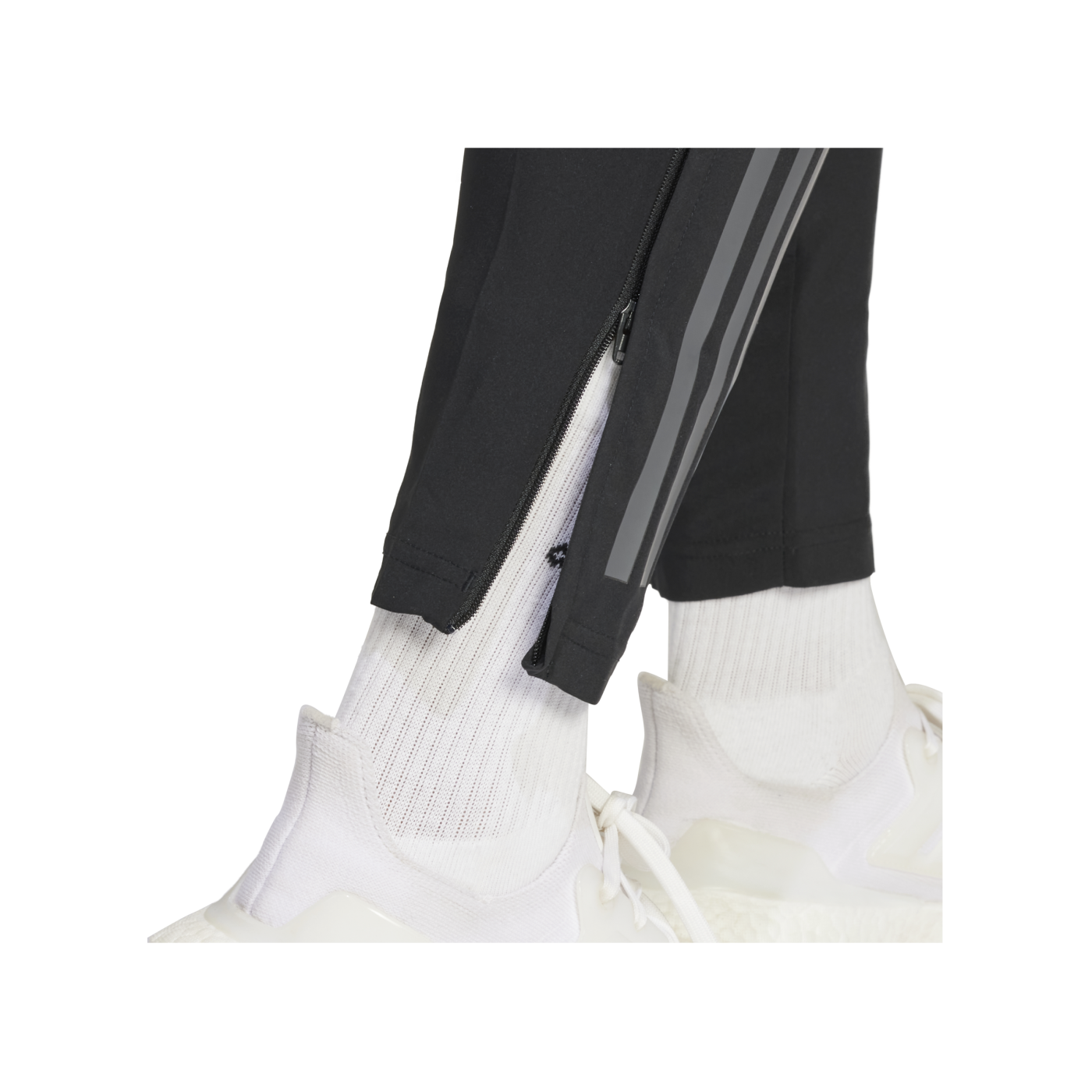 adidas Tiro 24 Competition Präsentationshose