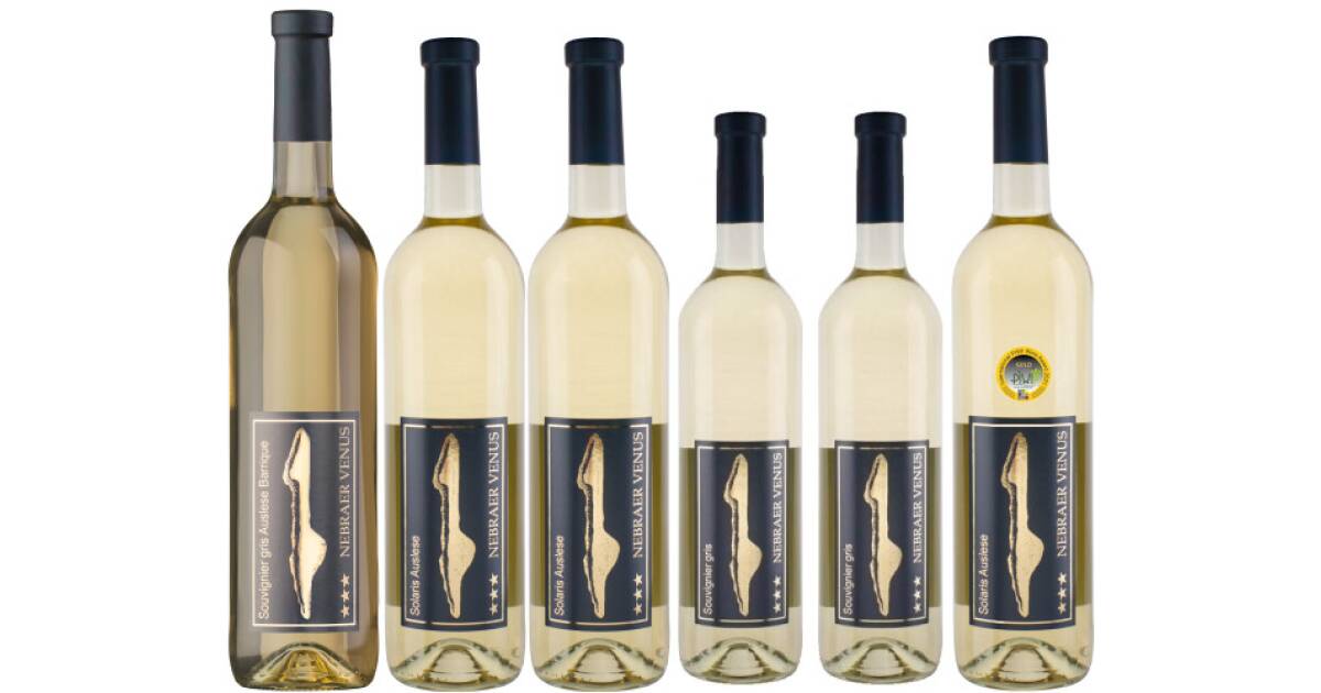 Festiveday white wine von Weinhof Winter günstig bei wein.de kaufen