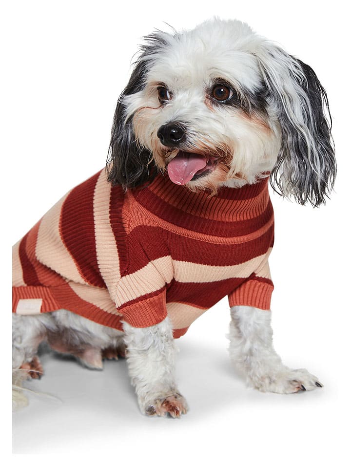 VOV & VUF Hundepullover in Braun/ Rot/ Creme günstig kaufen