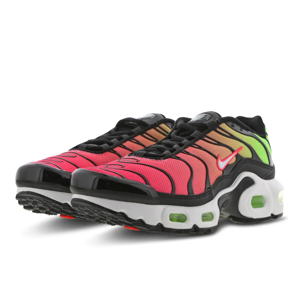 Nike Air Max Plus CD0609-010 / bunt