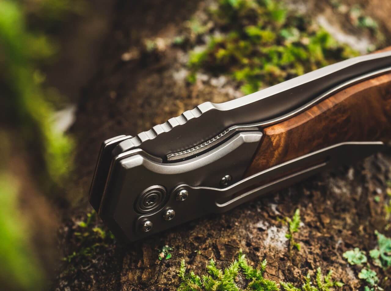 Forest Ranger 42