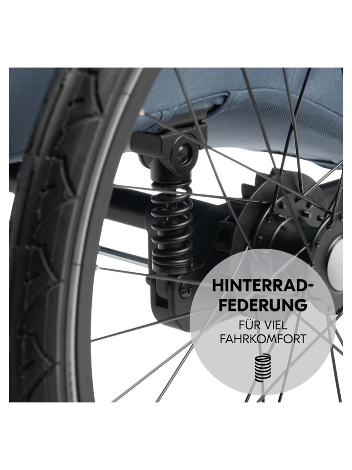 Hauck 2in1 Fahrradanhänger Dryk Duo Plus für 2 Kinder (bis in blau günstig kaufen onesize