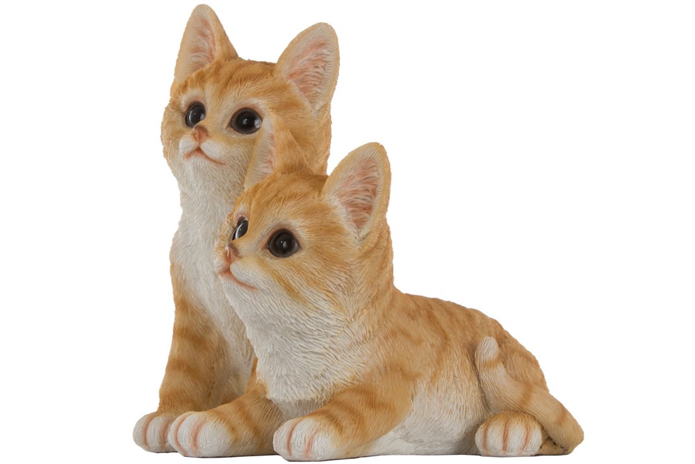 MyFlair My Flair Katzenkinder, orange/weiß gestreift