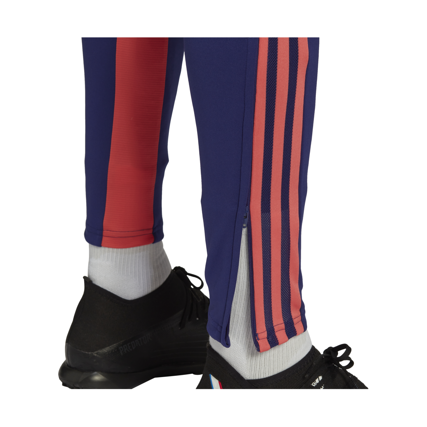 adidas Condivo Predator Trainingshose Blau Rot