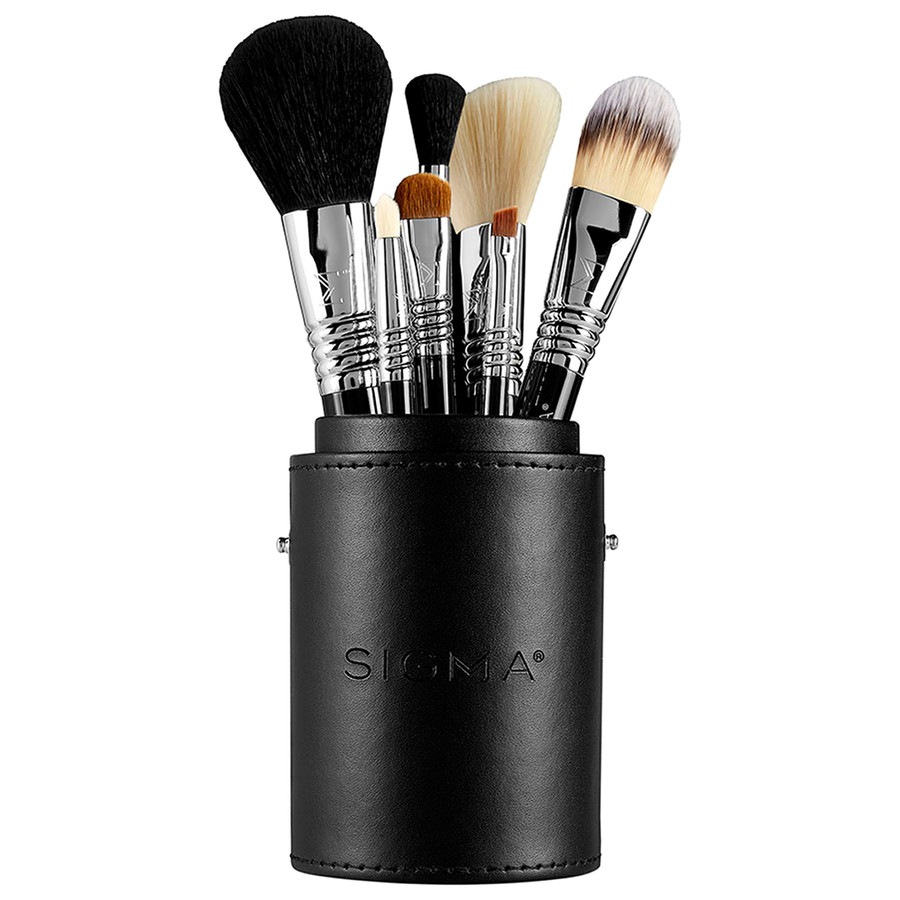 Essential Travel Brush Set