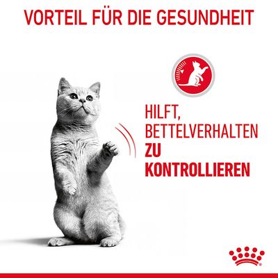 Royal Canin Appetite Control Care in Soße