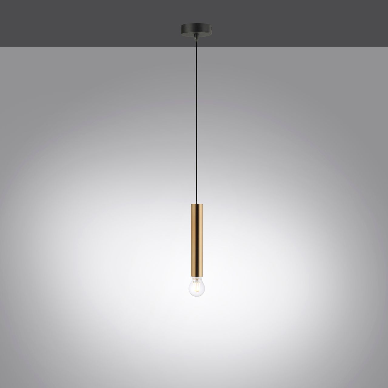JUST LIGHT LechtenDirekt Pendelleuchte BRUNA, 1-flg.,1xE27/60Watt, Innenleuchte, IP20
