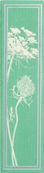 L'OCCITANE Verbene Karottenblüte Eau de Toilette