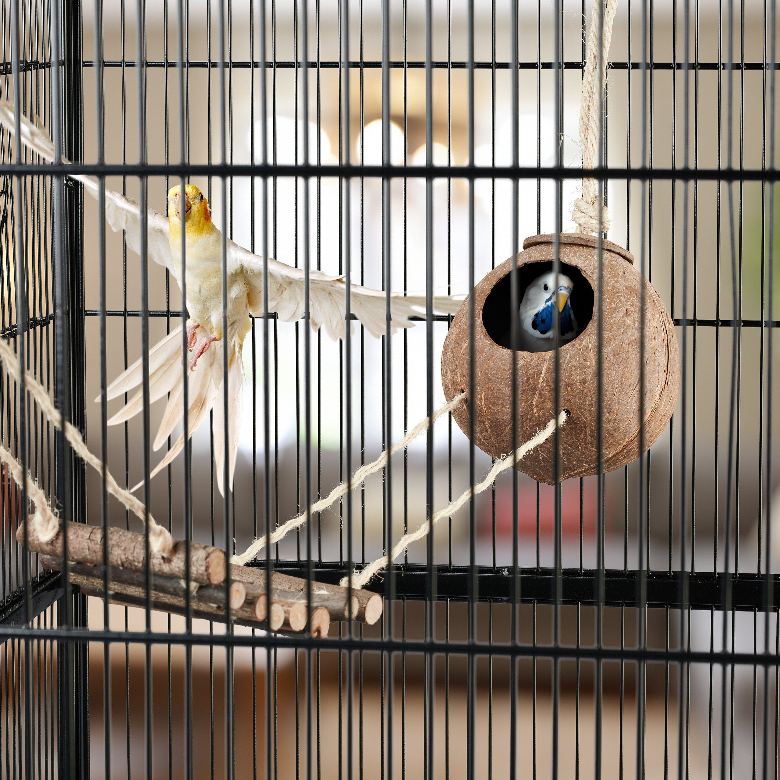 relaxdays Vogelspielplatz Vogelspielzeug Kokosnuss mit Holzleiter