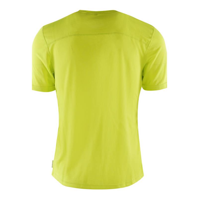 TOM TAILOR T-Shirt Arne T-Shirt Herren