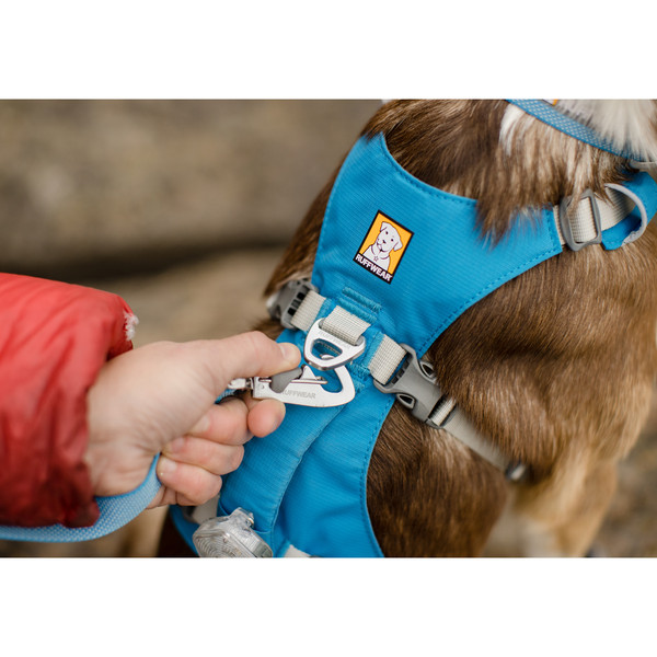 FLAGLINE HARNESS - Hundezubehör
