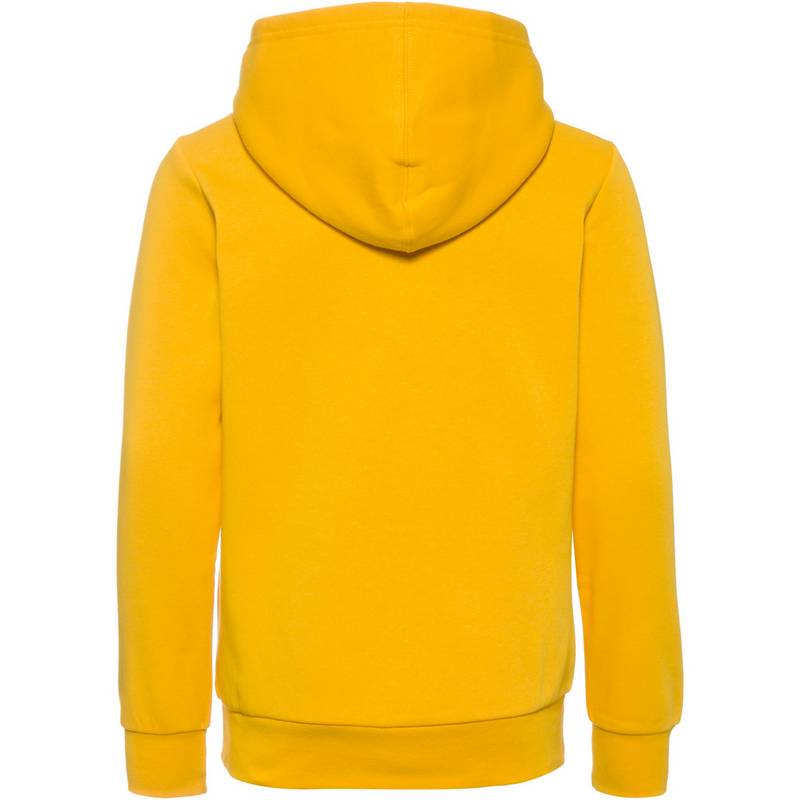 CHAMPION LEGACY AMERICAN CLASSICS Hoodie Jungen