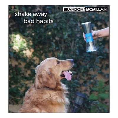 Brandon McMillan Shake & Break