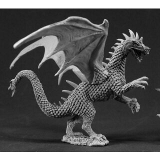 Young Forest Dragon (REA03350)