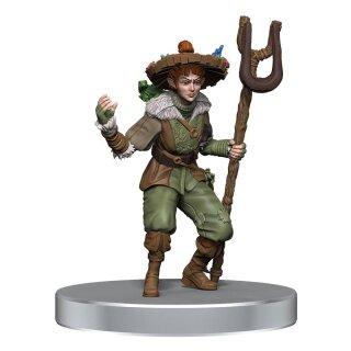 D&D Icons of the Realms: Dragonlance - Warrior Set (6) (Pre-Painted)
