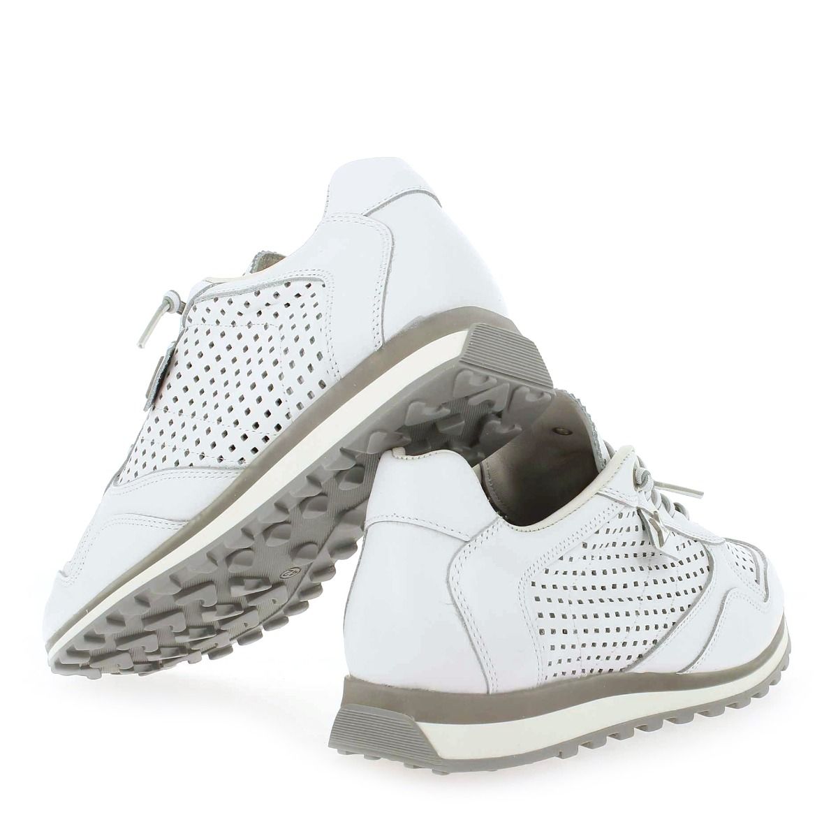 Cetti  C848 E23 - Blanc Gris