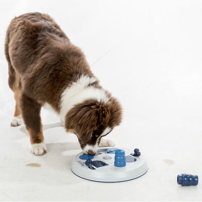 Trixie Intelligenzpielzeug Dog Activity Flip Board