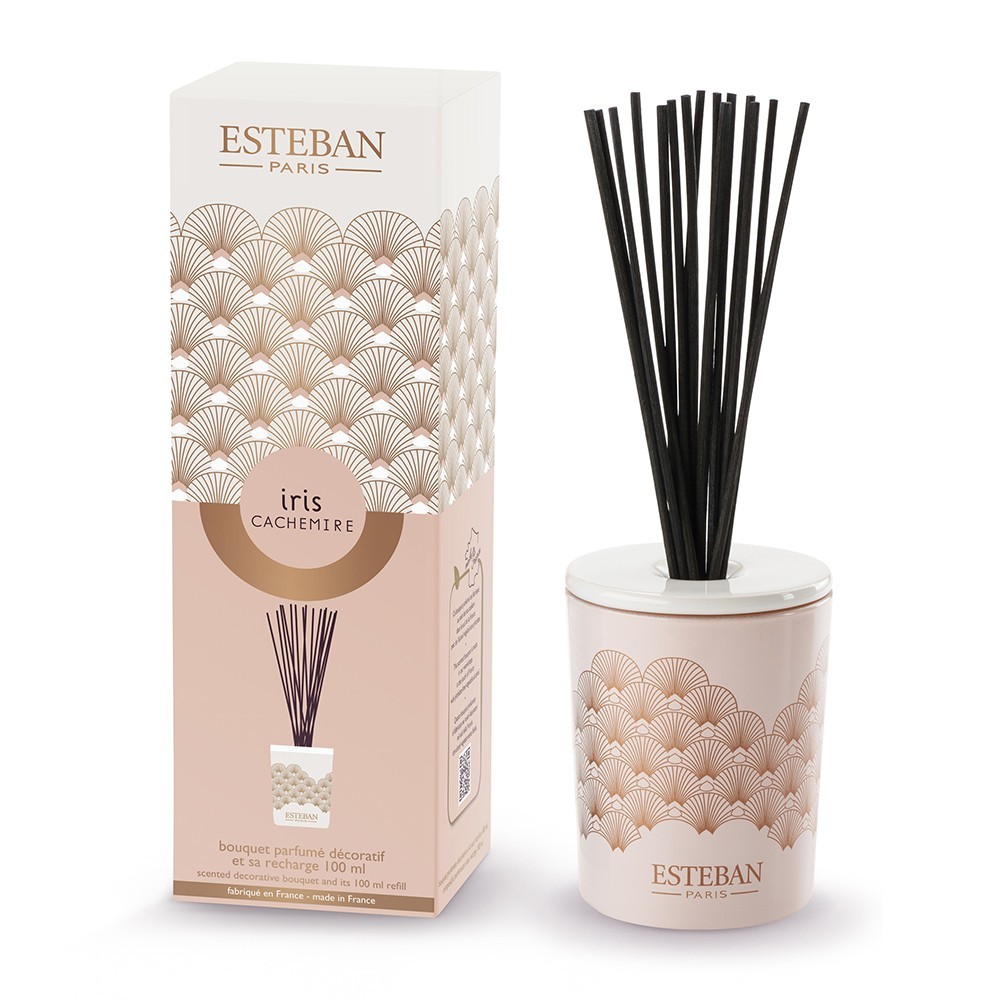 Esteban Iris kashmir