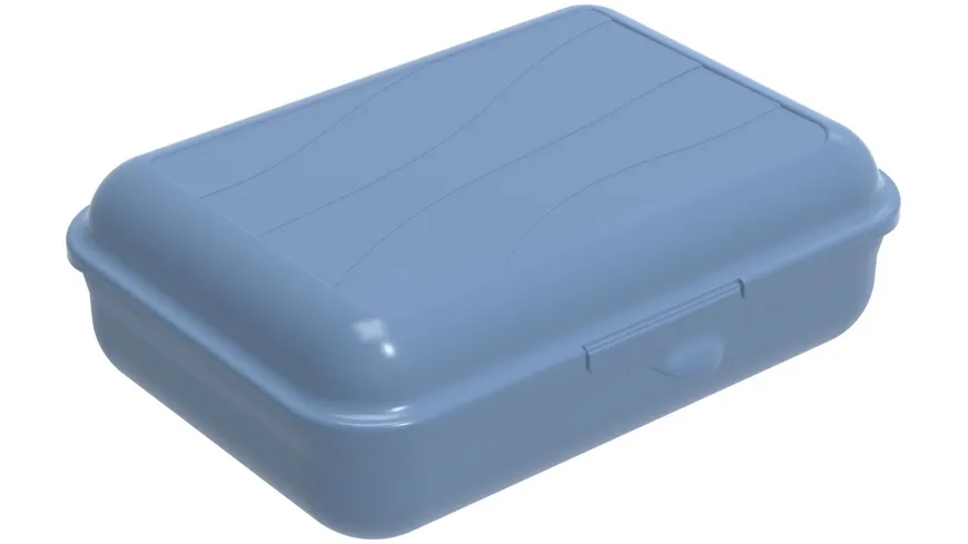 rotho Brotdose Funbox 1,25l horizon blue