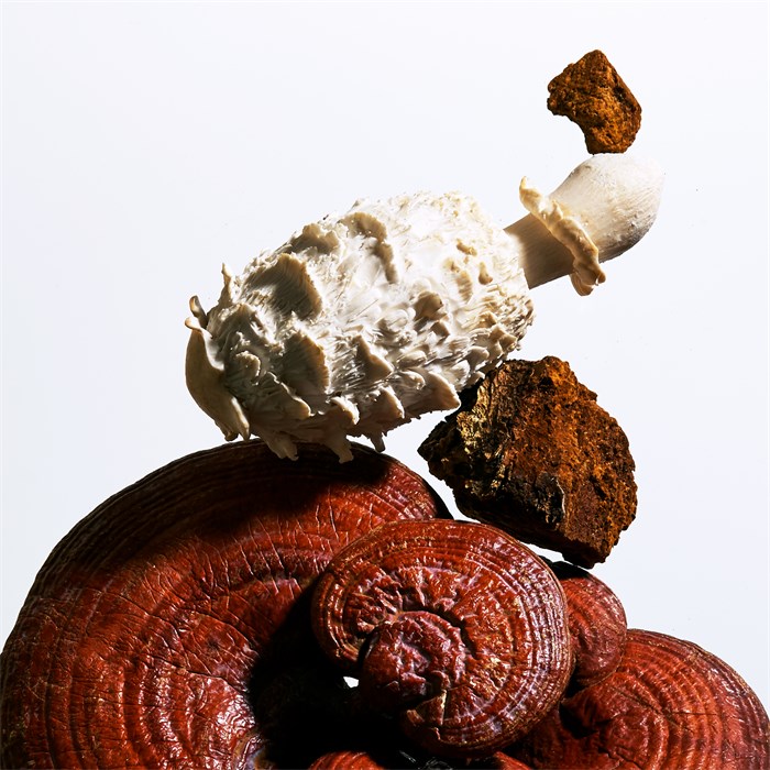 Mega-Mushroom Soothing Treatment Lotion