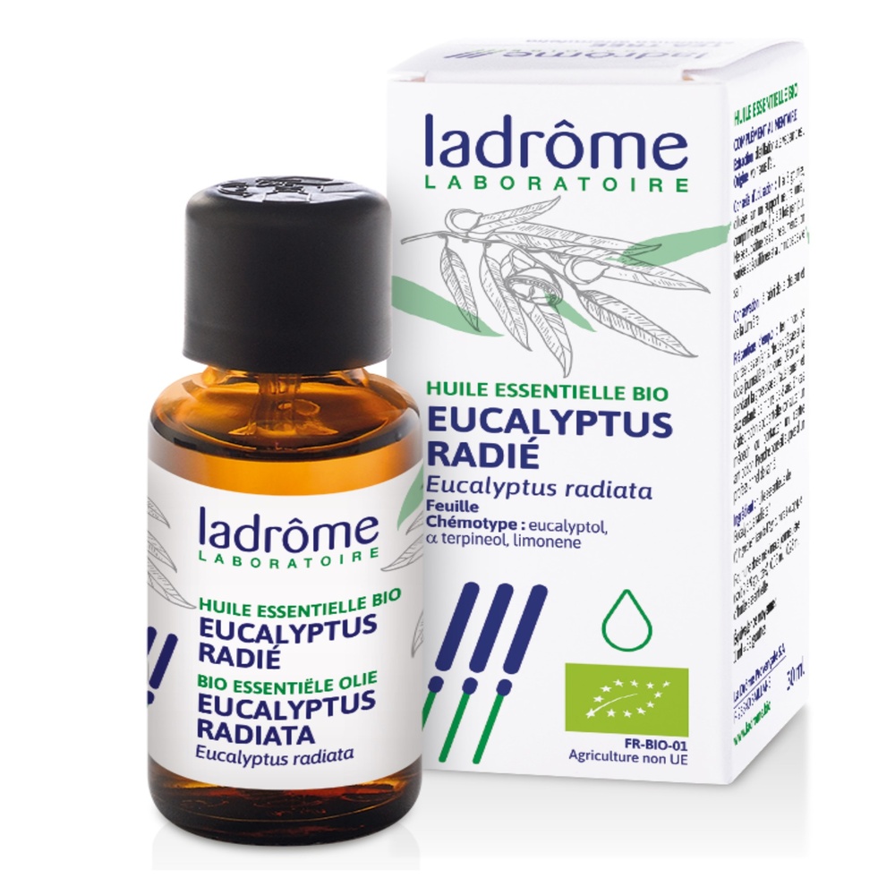 ladrome eucalyptus radié HUILE ESSENTIELLE