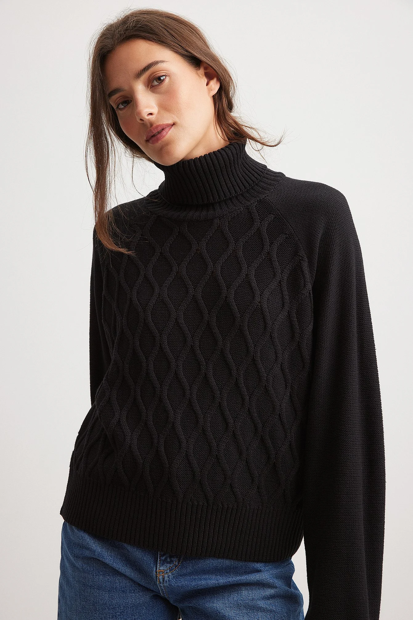 Strickpullover mit Rollkragen und Zopfmuster