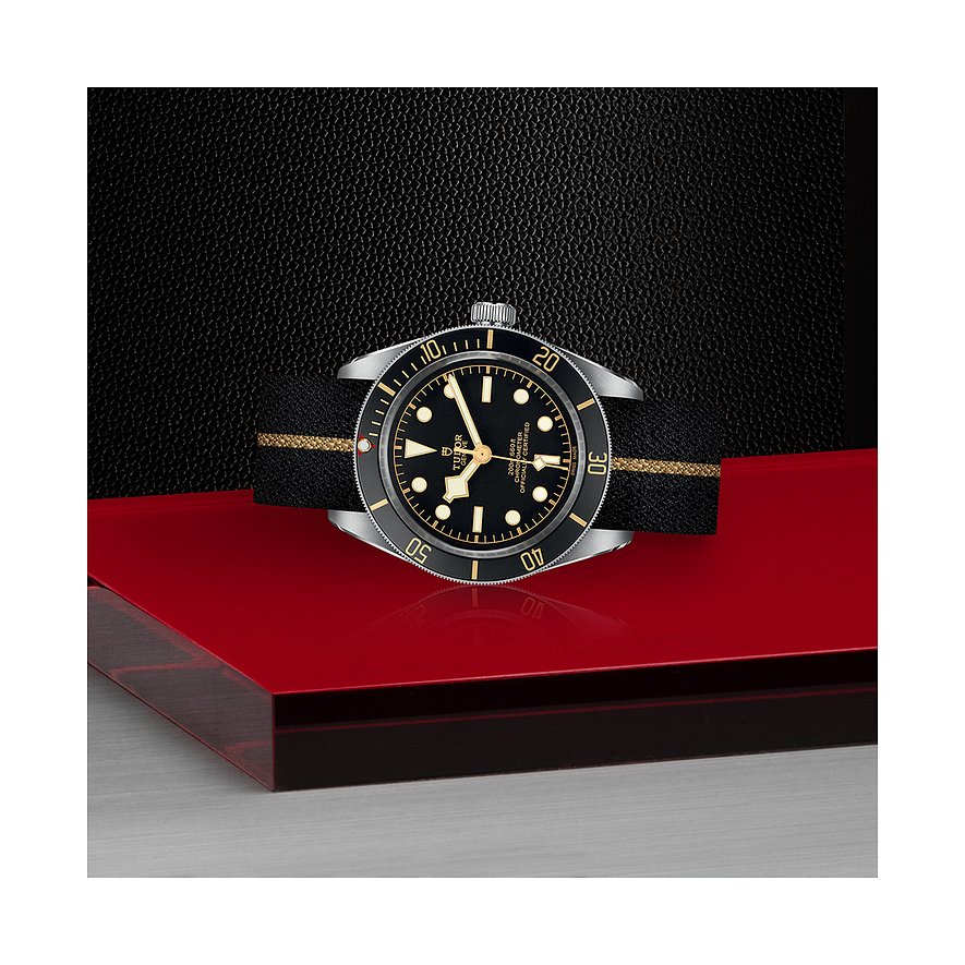 Tudor Herrenuhr Black Bay 58