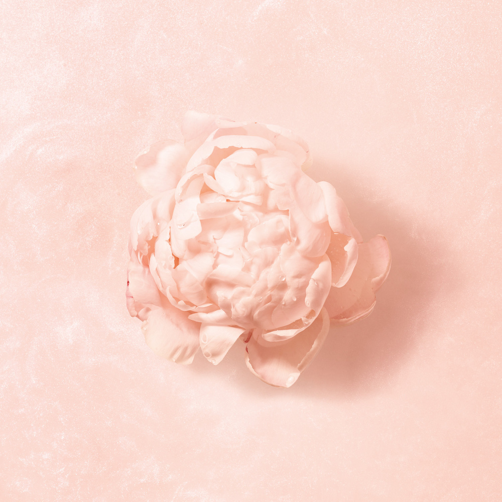 Armani Privé Armani/Privé Pivoine Suzhou Eau de Toilette Nacrée