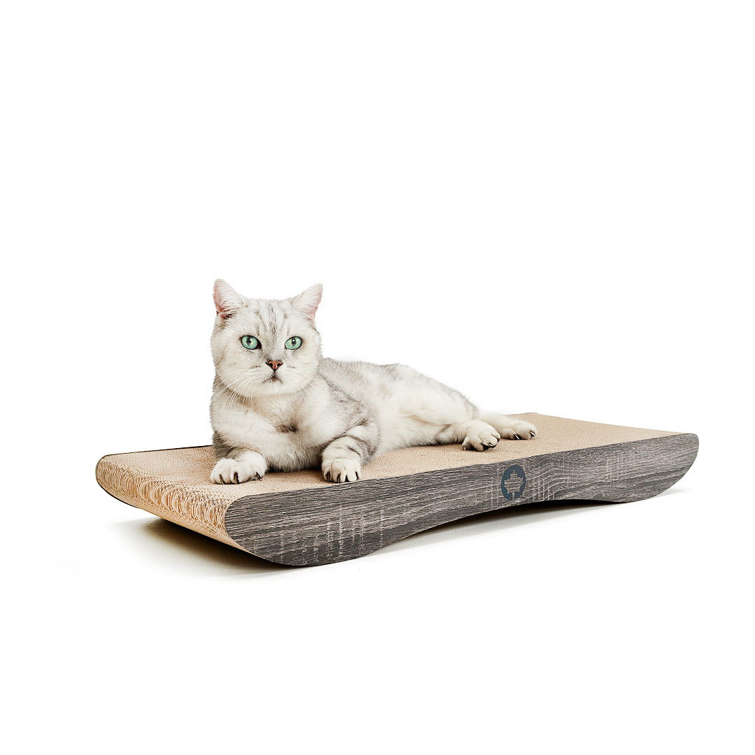 Canadian Cat Company Kratzbretter & Kratzpappen Canadian Cat Company Kratzbrett Comet XL dunkelgrau