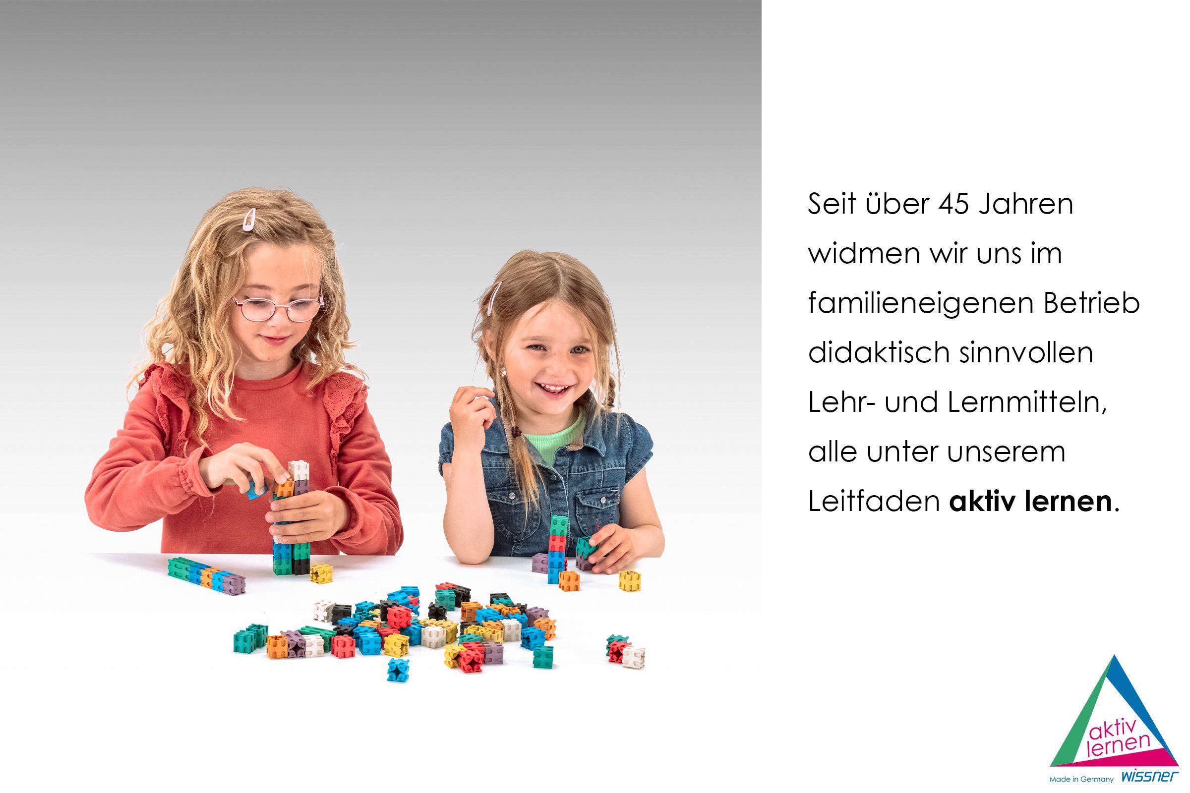 Wissner® aktiv lernen Lernspielzeug Steckwürfel in 10 Farben (100 Stück), RE-Wood® (100-St), RE-Wood®