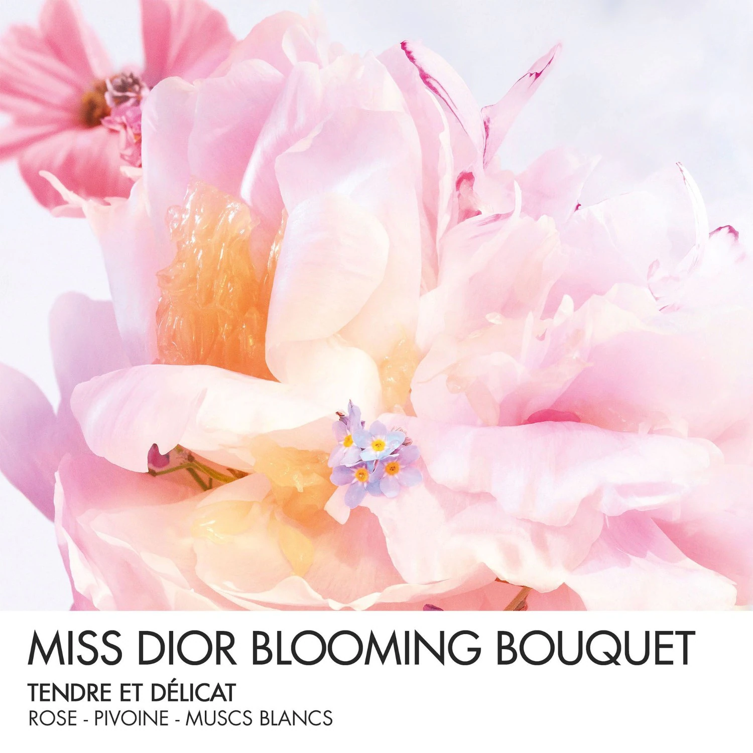 DIOR Blooming Bouquet Roller-Pearl – Frische und zarte Noten
