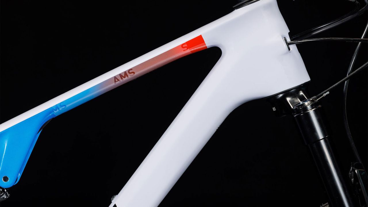 Cube AMS ZERO99 C:68X SL 29 teamline kaufen | Bike-Discount