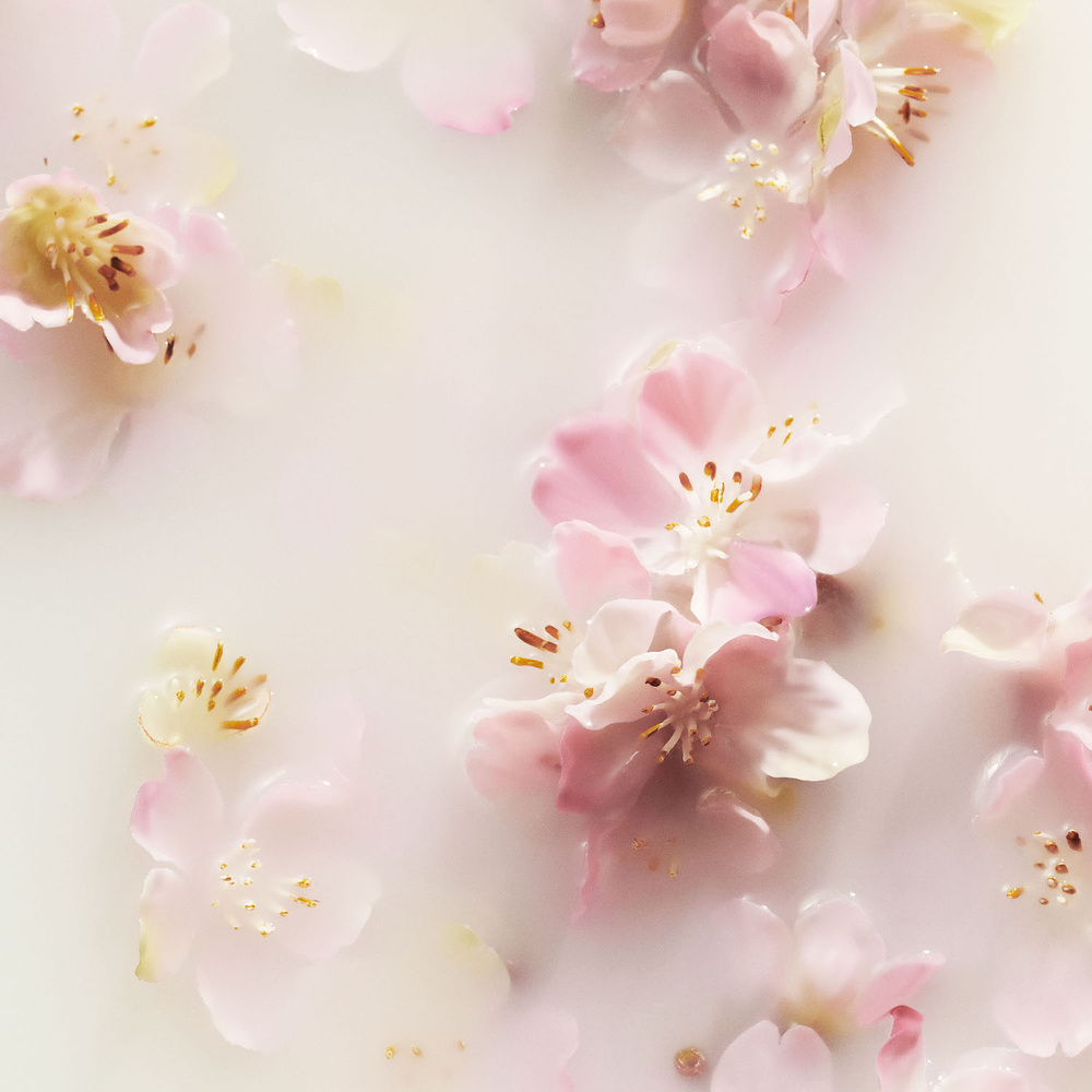 Rituals The Ritual of Sakura The Ritual of Sakura Baume mains