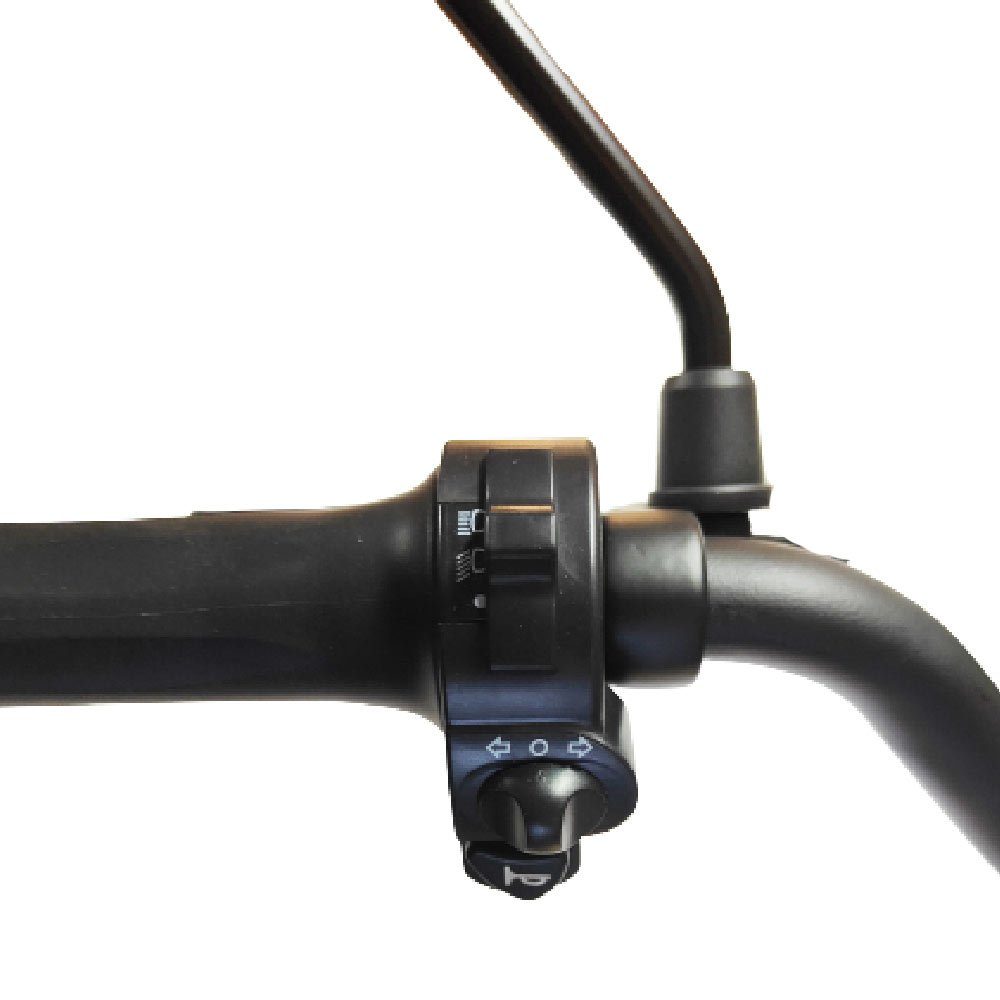 Forca E-Scooter Captain Pro 2000W - 12AHBlei Gel Akku, 50,00 km/h, (Set, Captain Pro 2000W 50km/h 12AH BleiGelAkku), mit Straßenzulassung