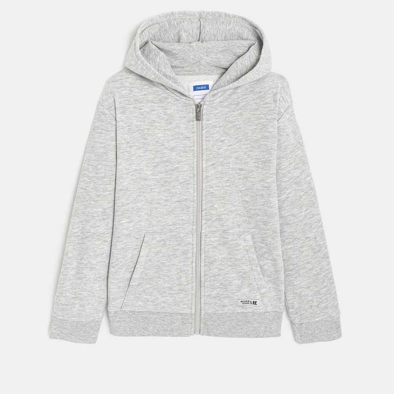 Sweat zippé à capuche gris garçon