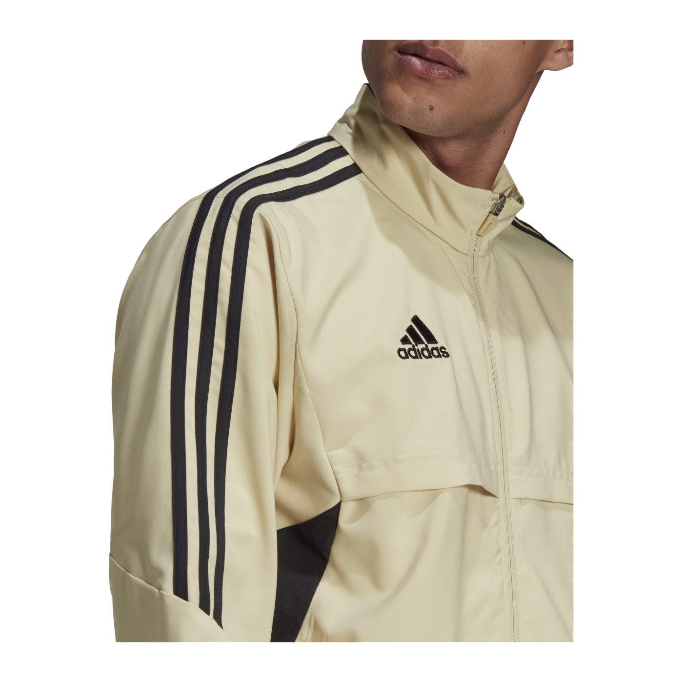 adidas Condivo 22 Präsentationsjacke Braun