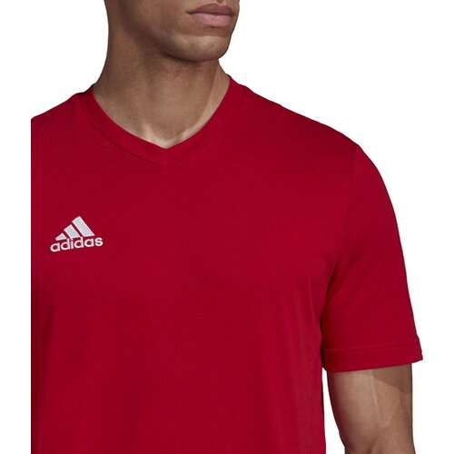 HERREN FANSHIRT ENTRADA 22 (NORMAL & LANG)