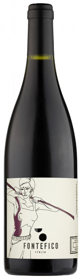 2015 Costetoste Aglianico Terre di Chieti IGP trocken Bio - Fontefico