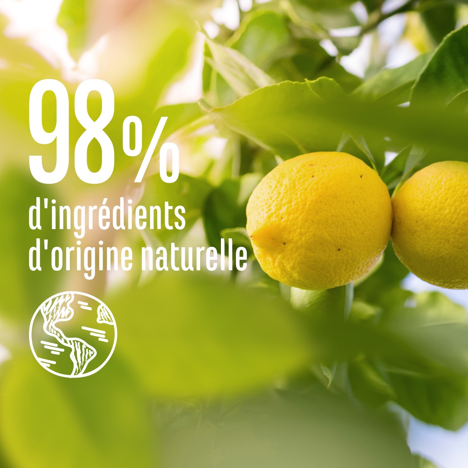 Szampon oczyszczający Le Petit Marseillais z organiczną pokrzywą i cytryną