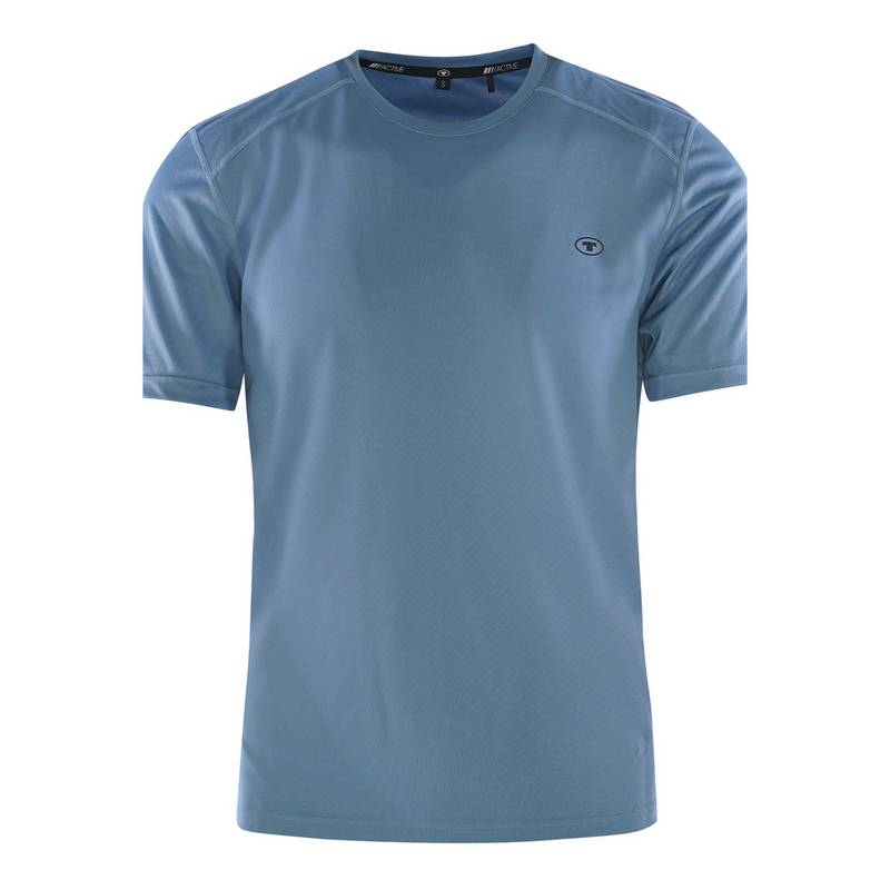 TOM TAILOR T-Shirt Arne T-Shirt Herren