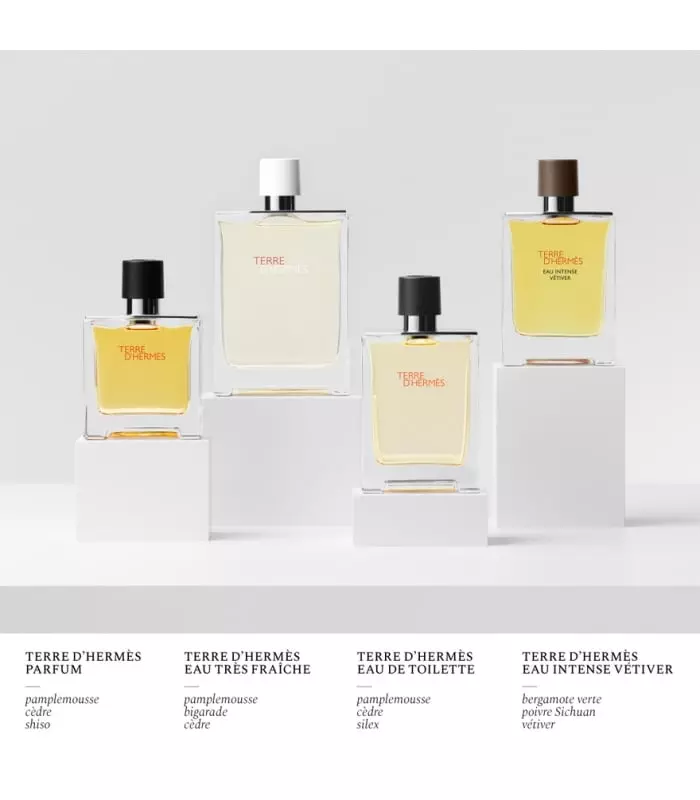 TERRE D'HERMÈS Parfum Vaporisateur