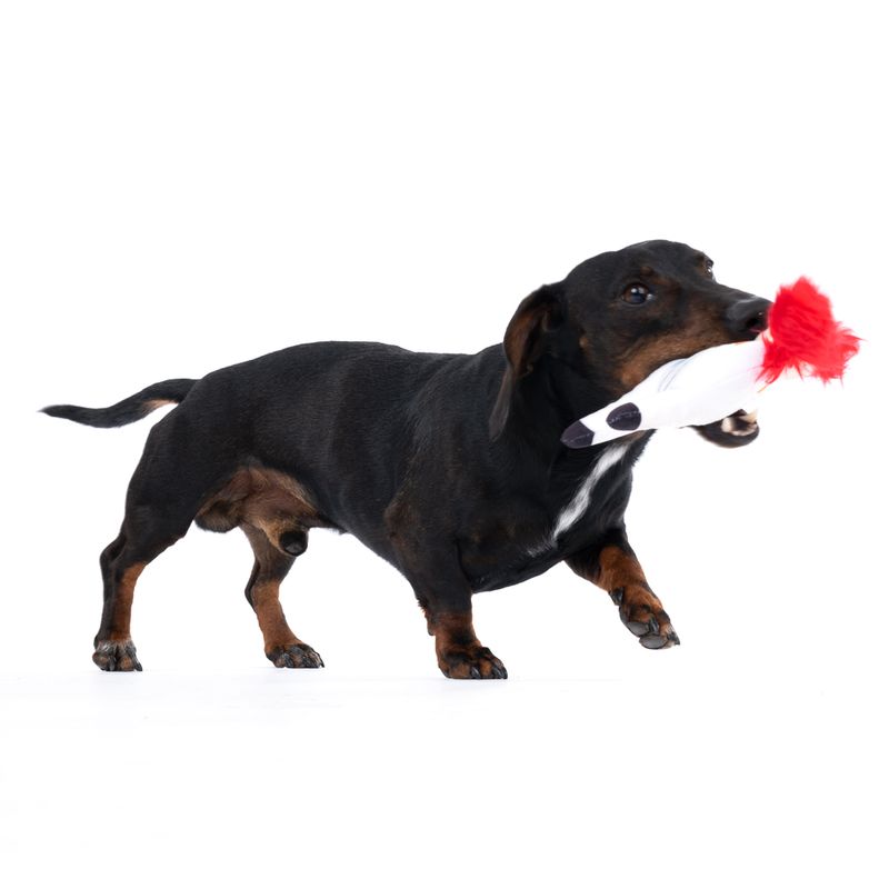 TIAKI Hundespielzeug Einhorn zu TOP-Preisen