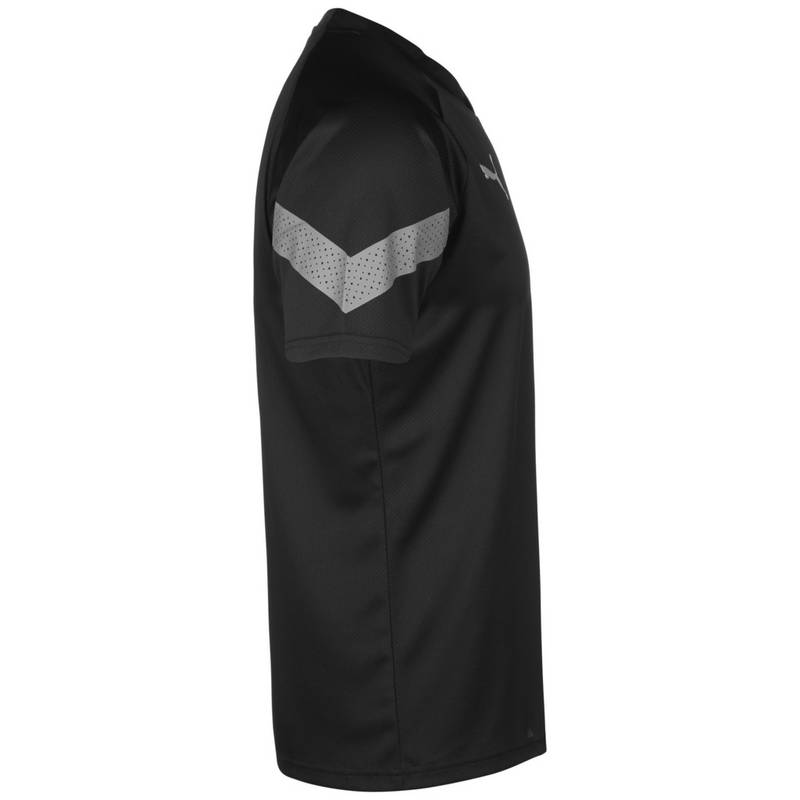PUMA teamFinal Training Trikot Herren