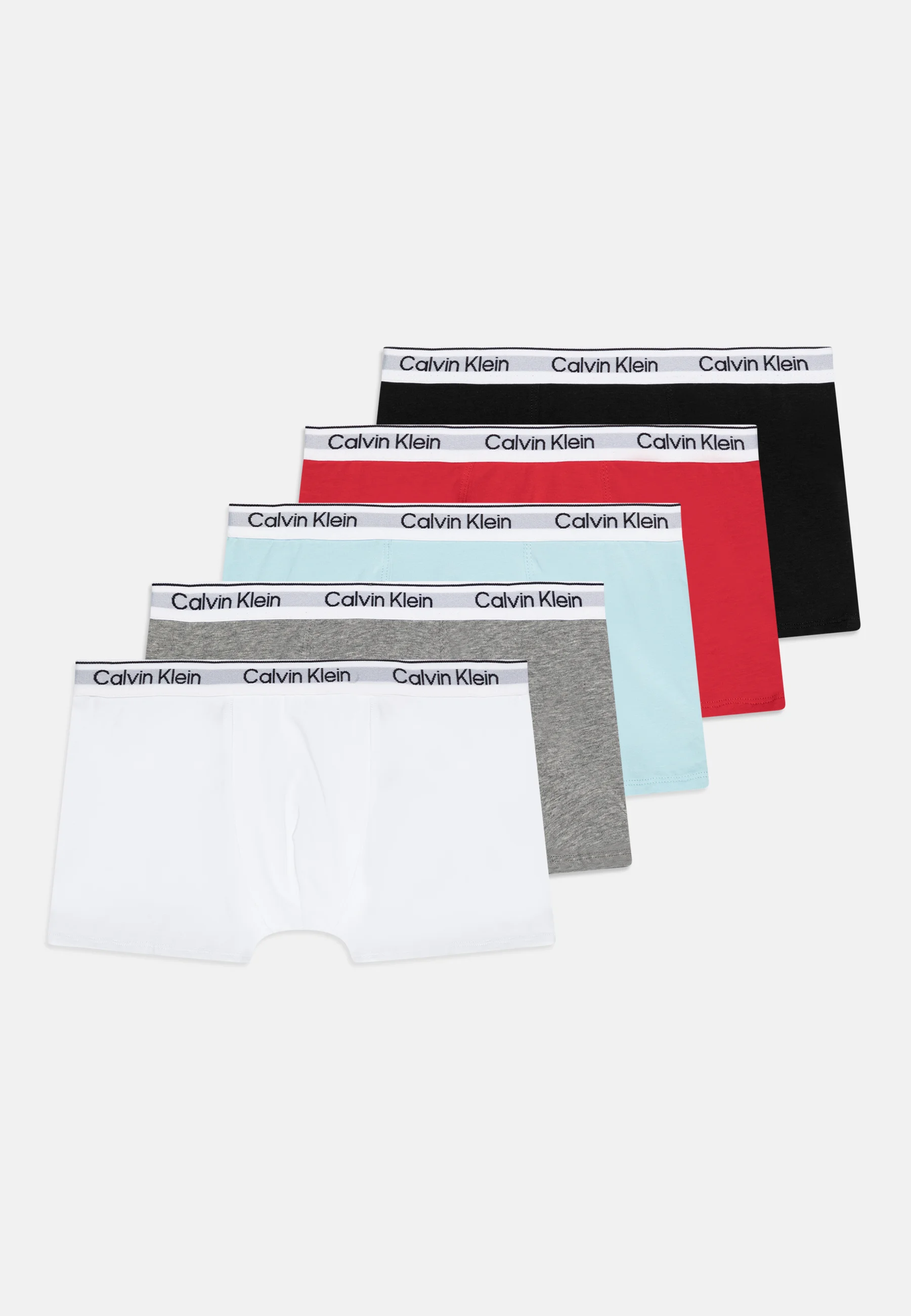 Calvin Klein Underwear TRUNK PACK DE 5 - Culotte