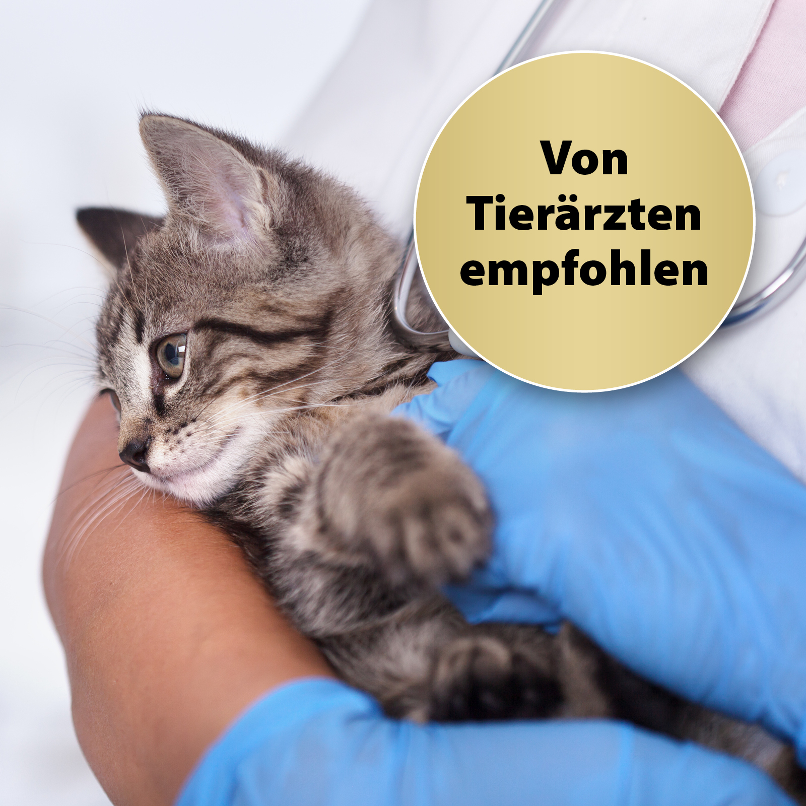 Felisept Beruhigungsmittel Felisept Home Comfort Beruhigungshalsband für Katzen