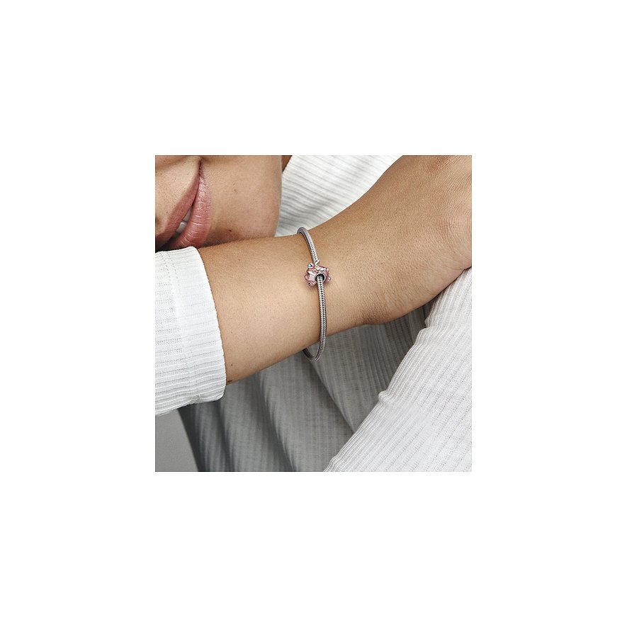 Pandora Charm Moments