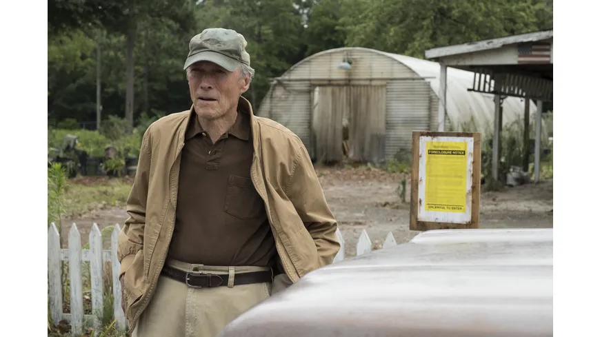 The Mule