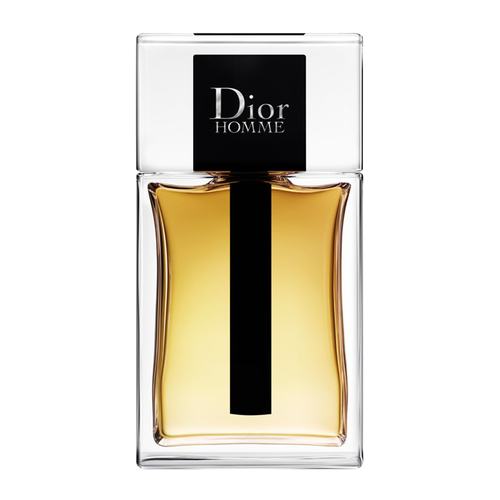 Dior Homme Eau de Toilette 100 ml