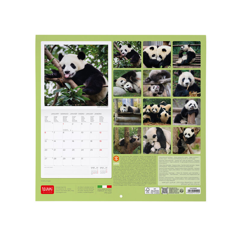 Calendario de pared 2025 - 30 x 29 cm
